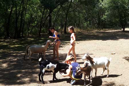 clé verte au camping la source en ardeche meridionale